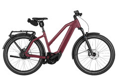 Riese & Müller Charger5 Mixte