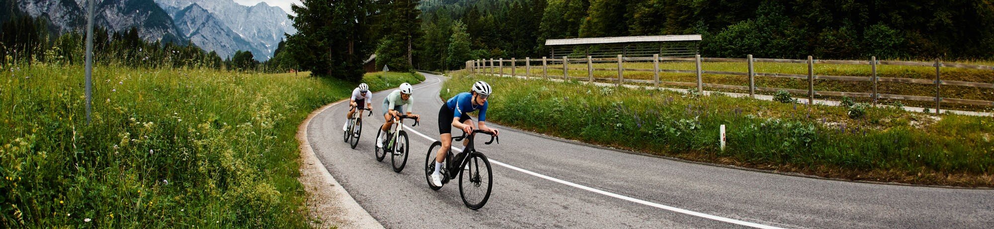 Trek Domane