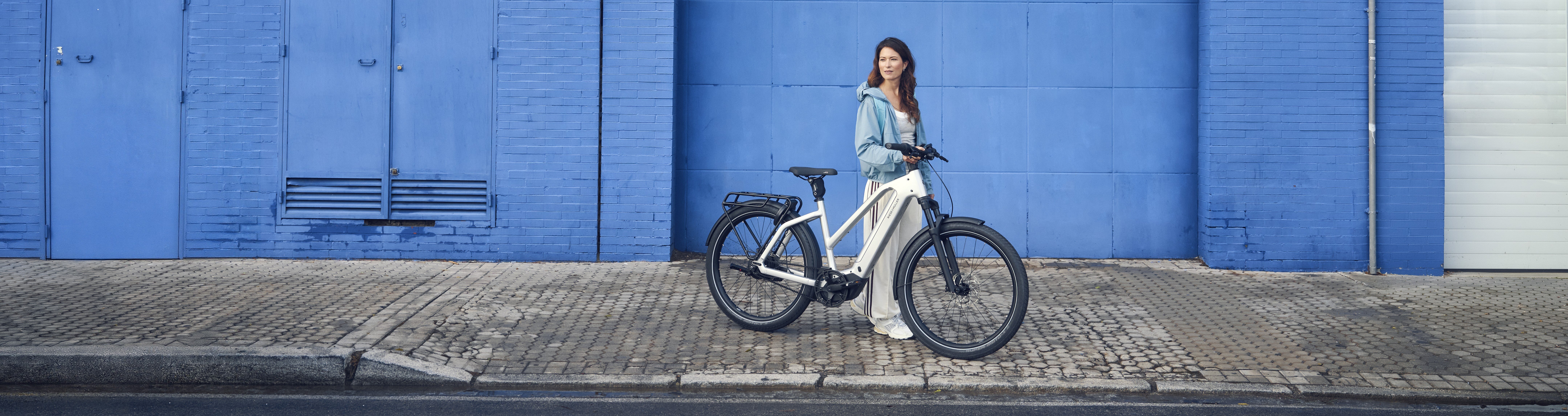 Riese & Müller Charger5 Mixte