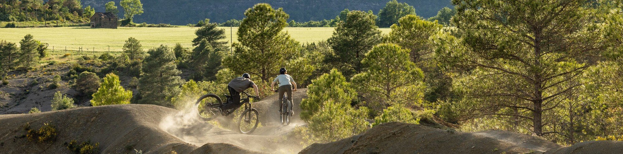 Trek Powerfly+