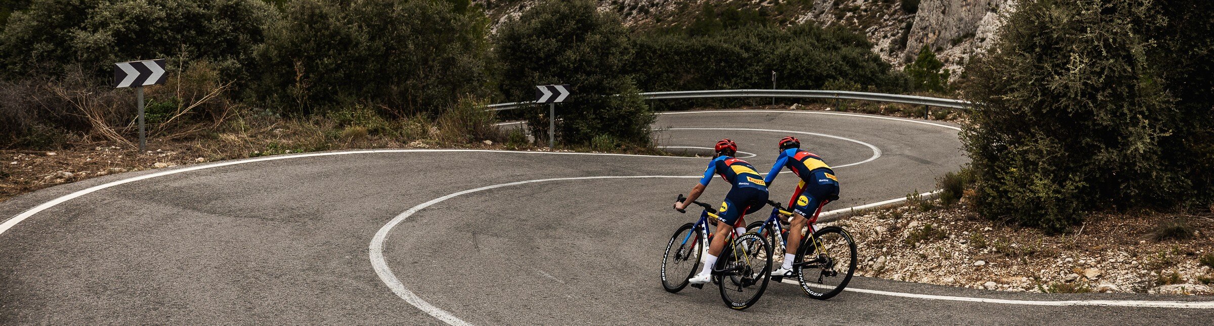 Trek Madone
