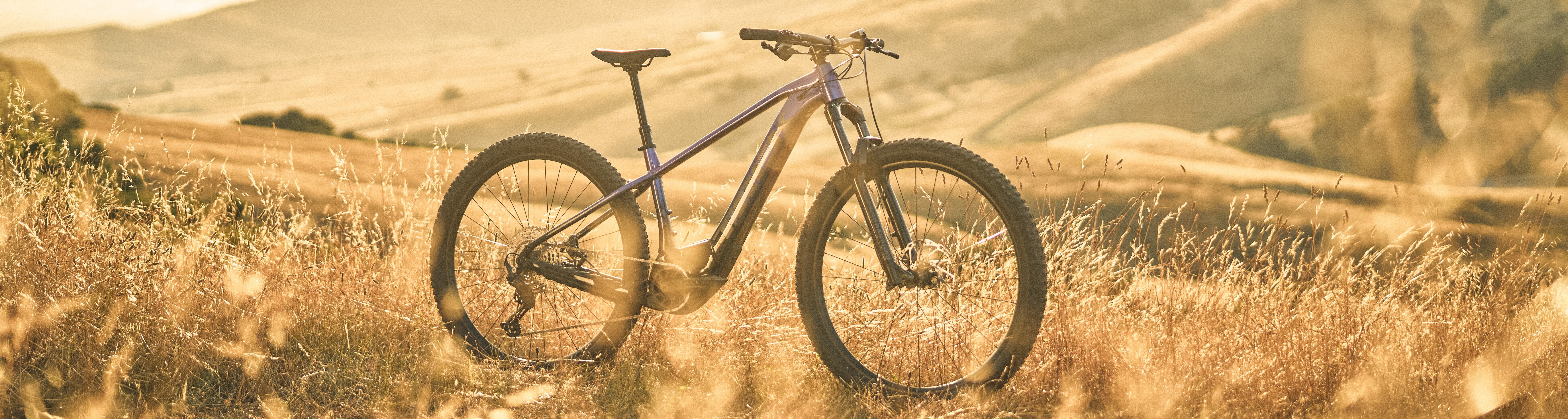 Trek Marlin+