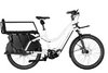 Riese & Müller Multicharger2 Mixte GT Vario 750, 47cm, weiß/schwarz, Bosch CX Smart/750Wh