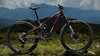 Trek Fuel EX 9.9 X0 AXS XXL Gloss Dark Carmine / Matte