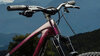 Trek Fuel LX 9.8 XT XL Gloss Dark Carmine / Matte Trek