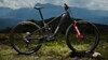 Trek FUEL+ EX 9.8 XT EU M Lichen Green/Keswick Green Sp